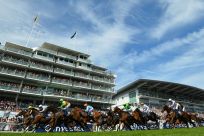 On the way back - British horse racing will be the first major sport to resume its season after the UK government paved the way for the return of competitive action
