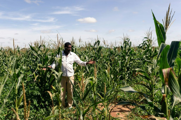 Two successive droughts have stunted agricultural harvests, leaving 7.7 million, half the population, food insecure