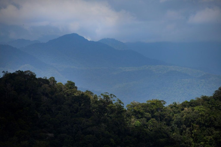 Indonesia showed a five percent drop in the area of forest destroyed in 2019