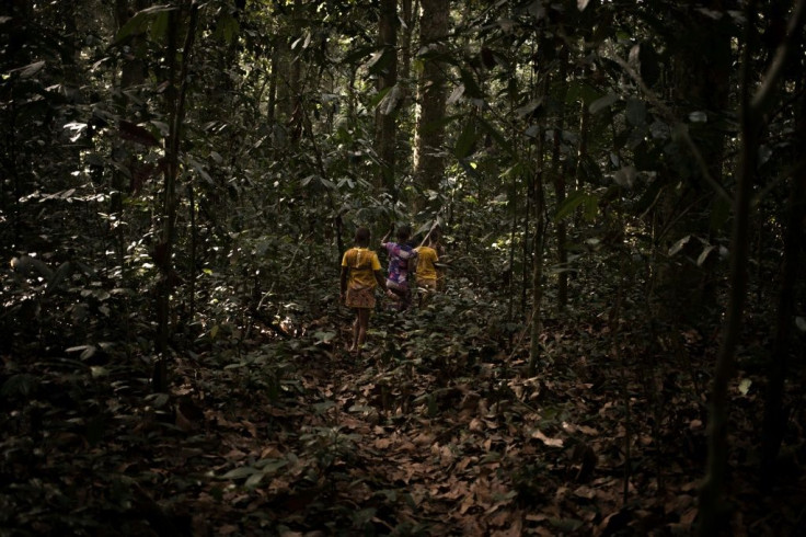 A group of young Bayaka Pygmies go deep into the forest to stay at a hunting camp