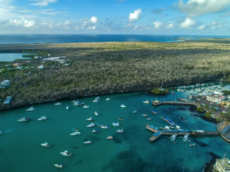 Galapagos authorities are desperately hoping for a revival of the vital tourism industry -- the main engine of the local economy -- once visitors are allowed to fly in again
