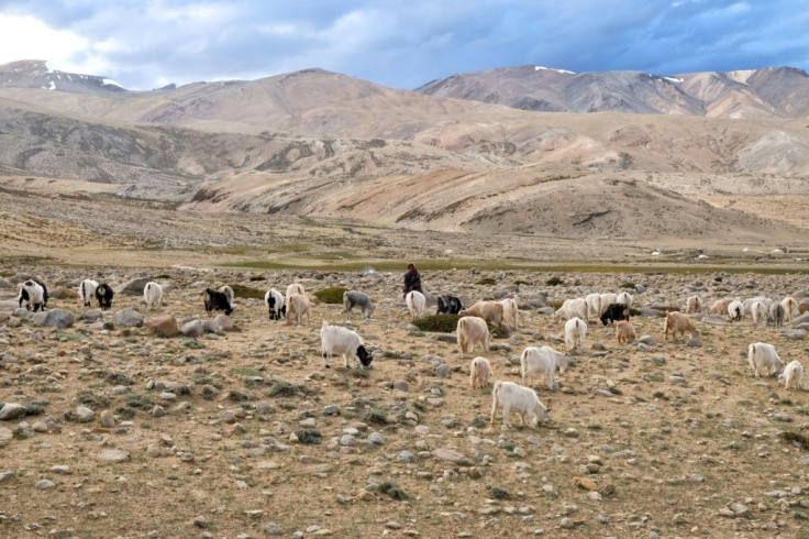 The shaggy creatures that provide the yarn are being pushed out of their grazing lands in the tussle between China and India