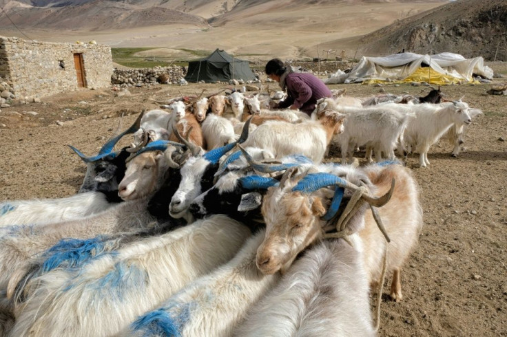 The military tensions are the latest blow for the herders, who are already reeling from the impact of climate change