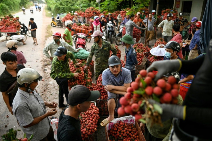 Vietam usually exports 100,000 tonnes of fresh lychees worth more than $30 million -- mostly to China but to Japan, Australia and the US