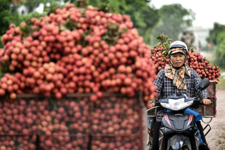 Foreign buyers tend to come directly to the market -- just a few hours drive from the Chinese border -- during the fruit's short six-week season