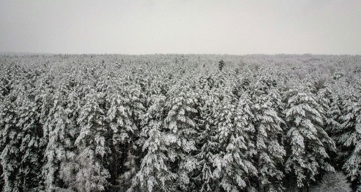 Russia's Siberia region, best known as an icy tundra, is being transformed by climate change