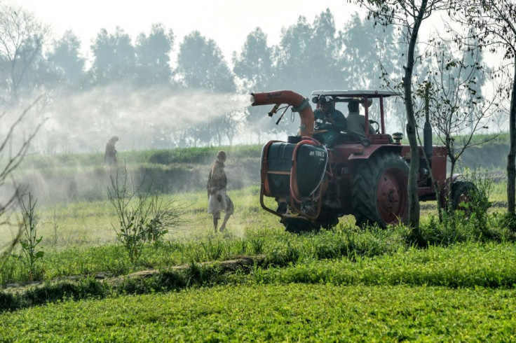 Pakistan could suffer about $5 billion in losses if 25 percent of its crops are damaged, the UN's Food and Agriculture Organization says