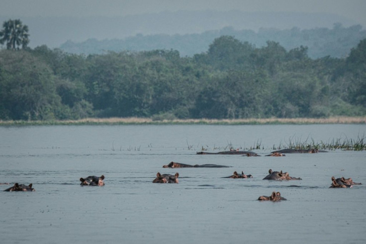 The Murchison Falls is one of the majestic natural sites in Africa