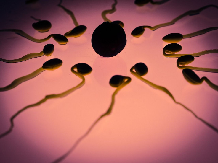 new study reveals egg cells are very choosy when it comes to the sperm that will fertilize it