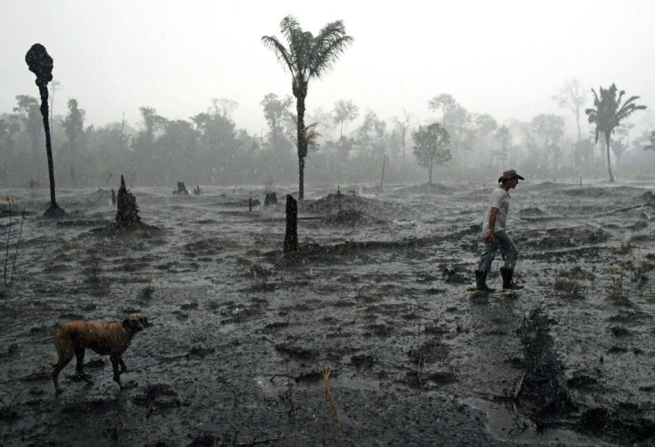 In this file photo taken on August 26, 2019 Brazilian farmer Helio Lombardo Do Santos and a dog walk through a burnt area of the Amazon rainforest, near Porto Velho, Rondonia state, Brazil