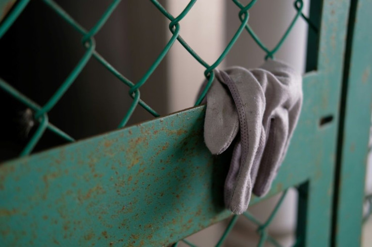 Around the world a thriving subculture has popped up documenting lost gloves, with dozens of Instagram accounts dedicated to them such as Long Lost Gloves and Lost Glove Sightings