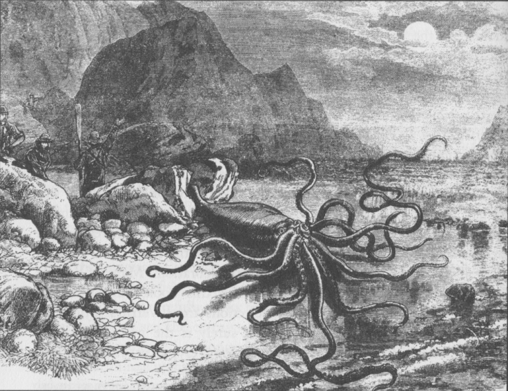 Giant Squid