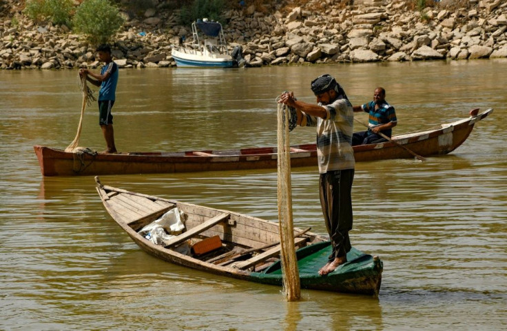 Because of the infestation, carp are dying below the surface, and the tangle of flat leaves, roots and flowers gets caught in fishing nets and hampers boat travel