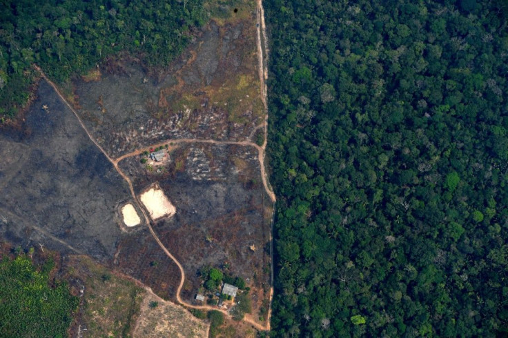 Environmentalists warn 2020 is on track to be the most destructive year ever for the world's biggest rainforest