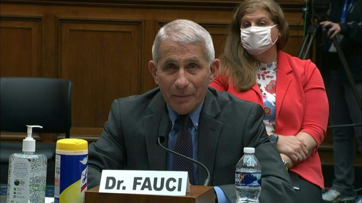 US infectious disease expert Anthony Fauci tells Congress that President Donald Trump never told him or other officials to curb coronavirus testing