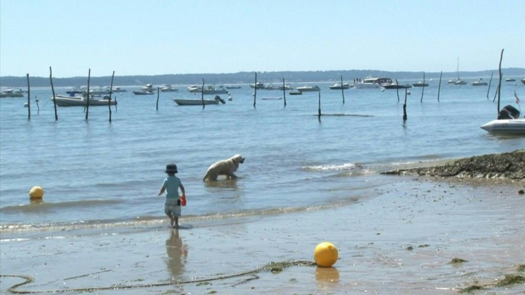 As France experiences an early summer heatwave, beach-goers bask in the sun at Cap Ferret