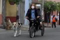 In this AFPTV screen grab Argentine Michael Graef rides his tricycle followed by his dogs in Lima, on June 11, 2020