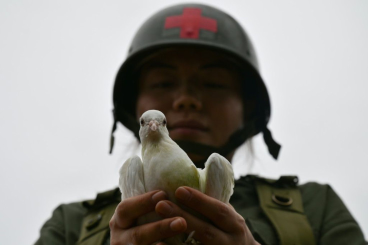 An actor dressed as a Korean War-era soldier holds a dove during a ceremony marking the 70th anniversary of the start of the Korean War at the Baengmagoji War Memorial in Cheorwon, near the Demilitarized Zone