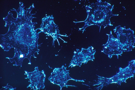 revolutionary drug shows great promise in stopping tumor growth