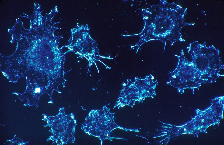 revolutionary drug shows great promise in stopping tumor growth