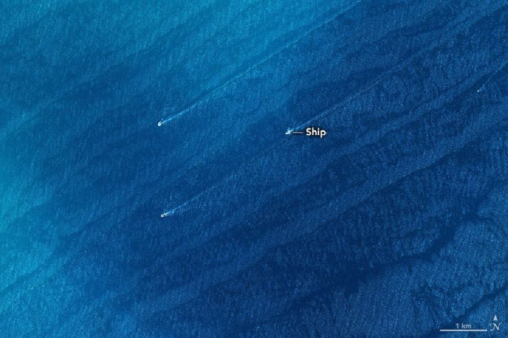 English Channel Phytoplankton Bloom