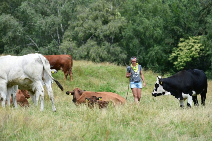 Women make up almost a third of the total of new entries to farming