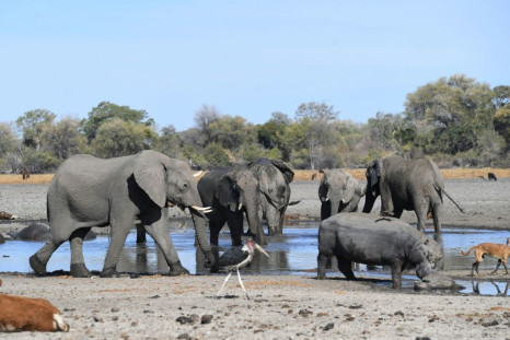Botswana is home to some 130,000 elephants