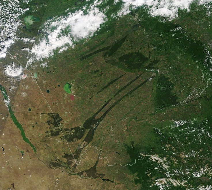 Kulunda Steppe June 2020