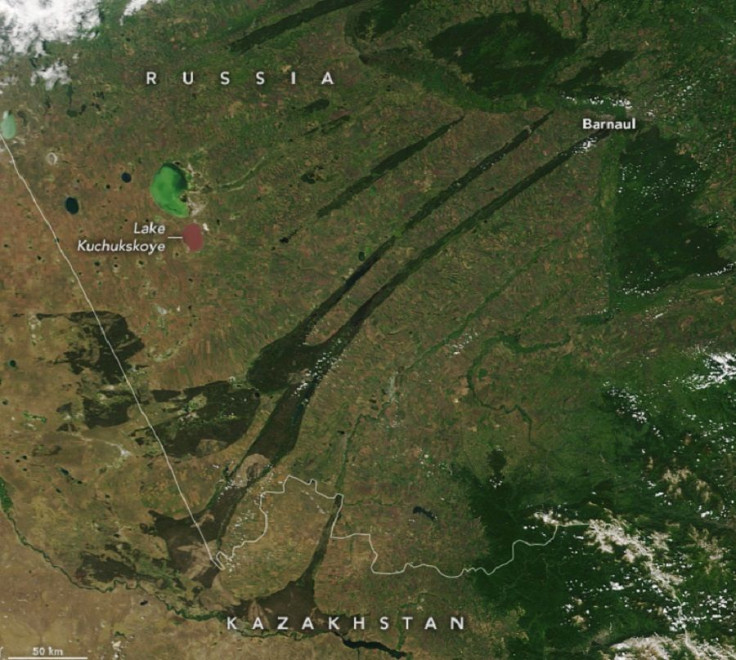 Kulunda Steppe