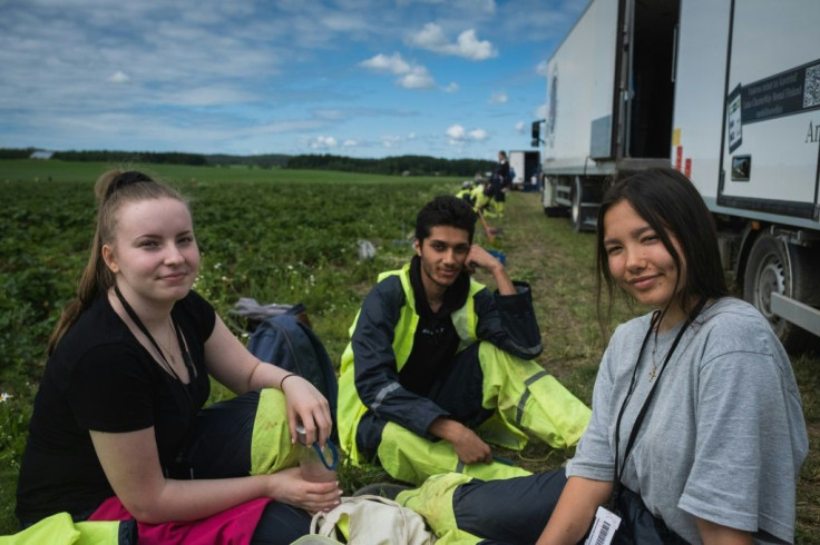 Teens Senni, Mohammed and Laura have a break after a first day of picking in Lahti -- Laura found the job "really physical" while Mohammed said the virus cost him an earlier summer job offer