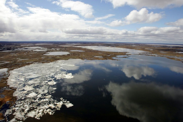 Siberia and the Arctic Circle are prone to large year-on-year temperature fluctuations, but the persistence of this year's warm spell is very unusual