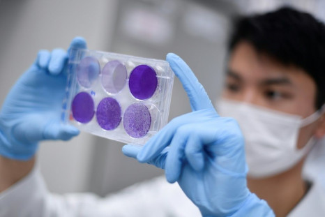 The leaders for two of the most advanced coronavirus vaccine projects -- Oxford University, in partnership with AstraZeneca labs, and China's Sinovac -- will carry out clinical testing in Brazil