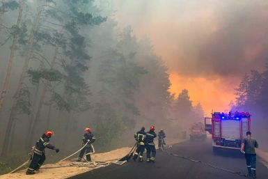 This handout picture taken and released by the press service of the State Emergency Service of Ukraine on July 7, 2020 shows firefighters extinguishing a wildfire at Novoaydarivsk district, Lugansk region