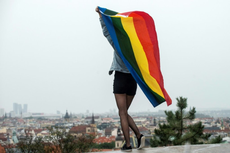 Gay 'conversion therapy' can inflict lasting harm, a UN expert says