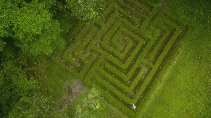 Everyday Alberto Gomez tends to his Botanical Garden, which he founded over 40 years ago in Colombia, the second most biodiverse country in the world. But the pandemic forced him to close its door to the public, and he quarantined there alone, among the p