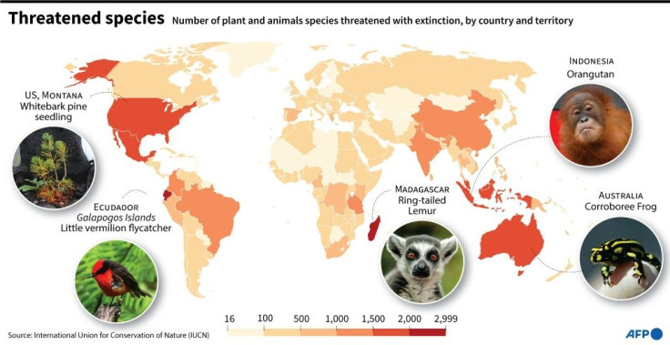World map showing the number of plant and animals species threatened with extinction by country, according to the latest update by the International Union for Conservation of Nature (IUCN).