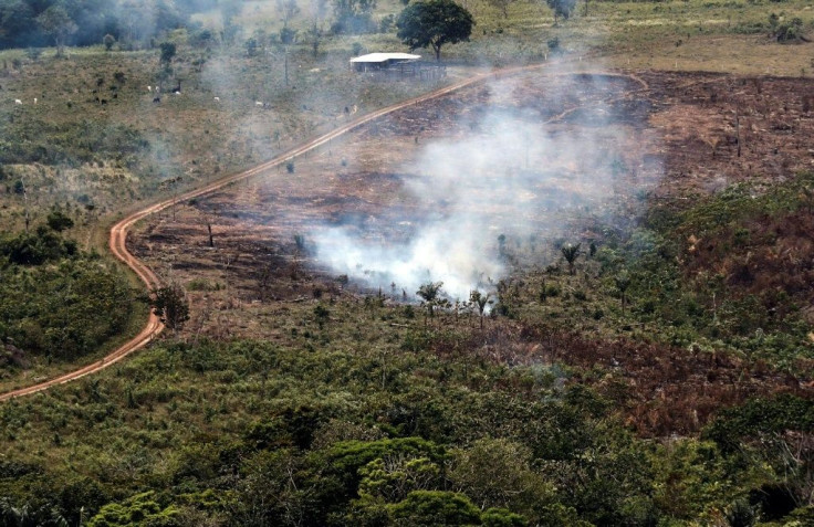 A handout picture from Colombia's Defence Ministry shows smoke billowing from the Sierra de La Macarena National Natural Park, Colombia, in 2019. The Latin America country has lost hundreds of thousands of hectares of forest in recent years