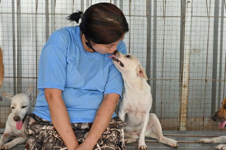 Indonesian doctor Susana Somali started confronting butchers after seeing a video of a pregnant dog about to be slaughtered