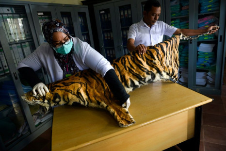 Tigers -- thought to number just 22 in Myanmar -- can now be bred for their meat and skin