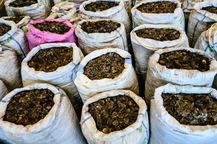 The illegal trafficking of wildlife such as endangered pangolin scales is worth an estimated $20 billion worldwide