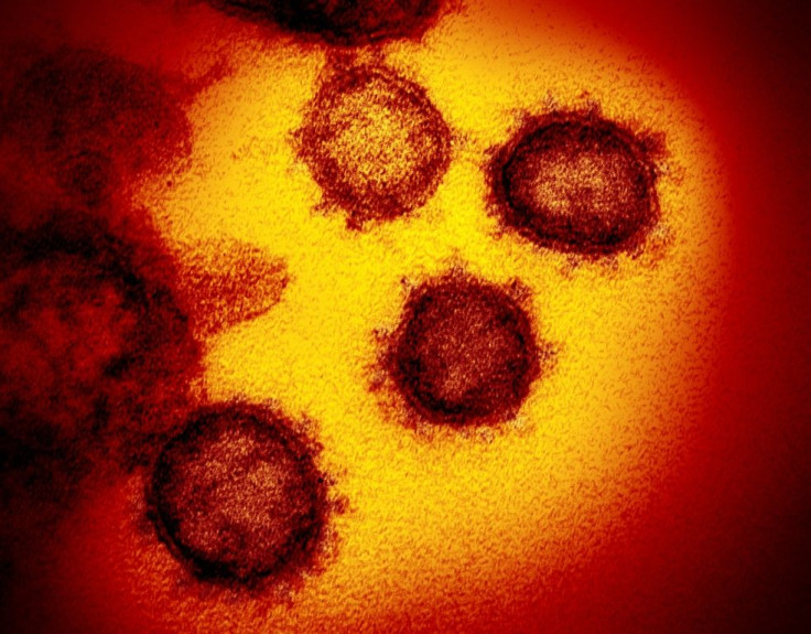 covid virus