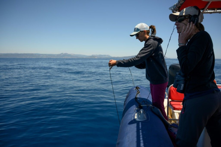 Researchers track cetaceans in the Mediterranean off La Ciotat near Marseille -- during lockdown they observed a 30 decibel noise decrease owing to the lack of pleaseure boaters
