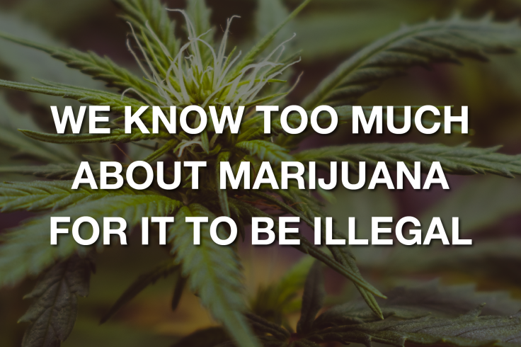 We Know Too Much About Marijuana for It To Be Illegal