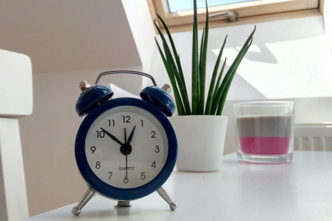round-blue-alarm-clock-with-bell-on-white-table-near-snake-1179490