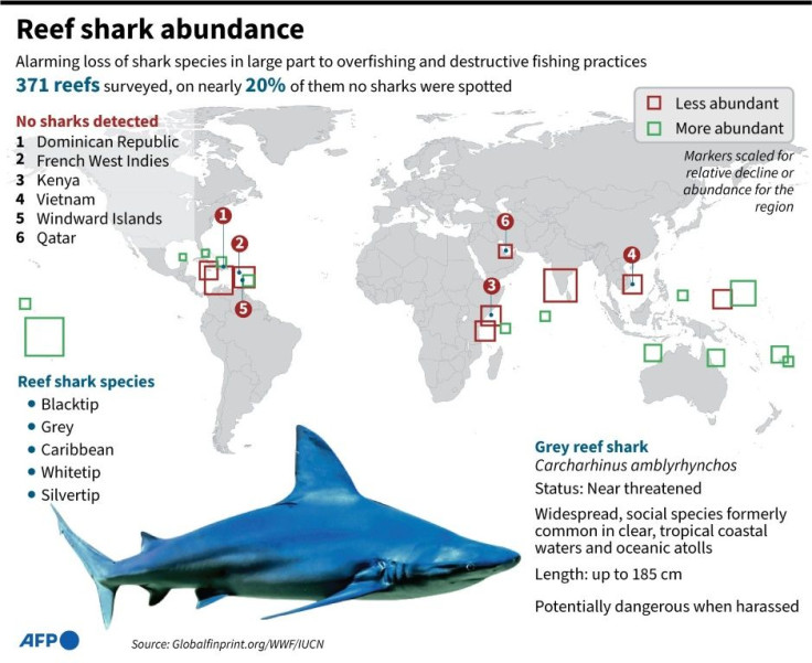 Graphic showing areas where reef sharks are increasing, and areas where they are decreasing, according to a new study