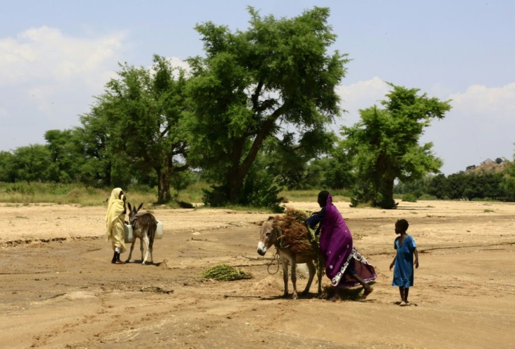 Sudanese villagers pictured last year in Darfur, following their return home after more than a decade of being displaced by violence