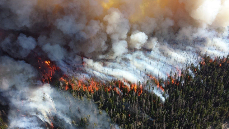 forest fire air pollution