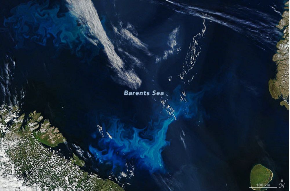 Satellite Image Shows Swirls Of Phytoplankton Bloom In Arctic Ocean