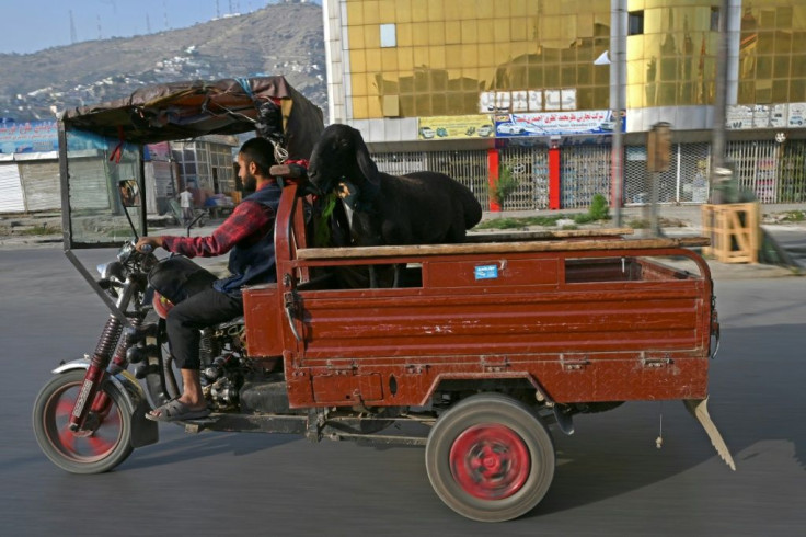 A man transports a sheep during the Muslim festival of Eid al-Adha, in Kabul