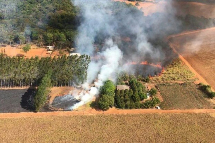 Handout picture released by the Mato Grosso State Fire Department showing an aerial view of forest fire at the Pantanal region, Mato Grosso state, Brazil